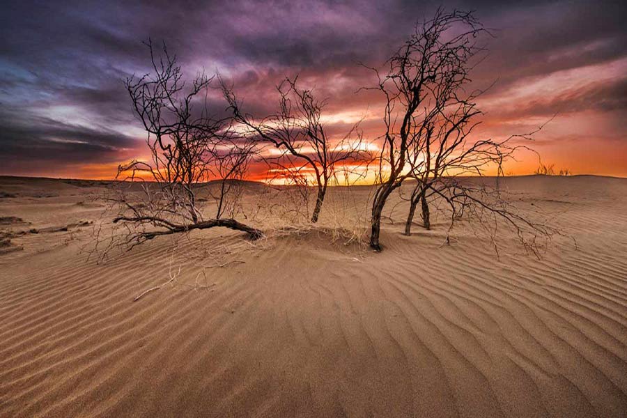 Desert tour in Iran. Inbound Persia Travel Agency Desert tour in Iran. Inbound Persia Travel Agency